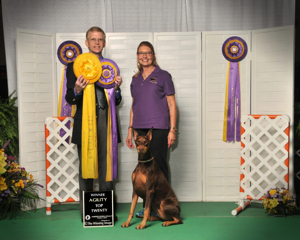 Bolerodobes – Doberman Pinscher’s, Michigan